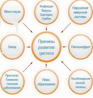 Рейтинг лучших средств от цистита на 2025 год