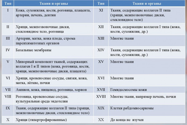 Рейтинг лучших препаратов морского коллагена на 2026 год